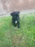 Danilo