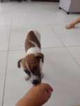 Tina