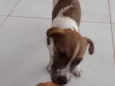 Tina