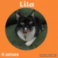 Lila