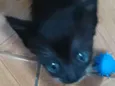 ......
