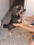 Laika