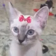 Nicole 