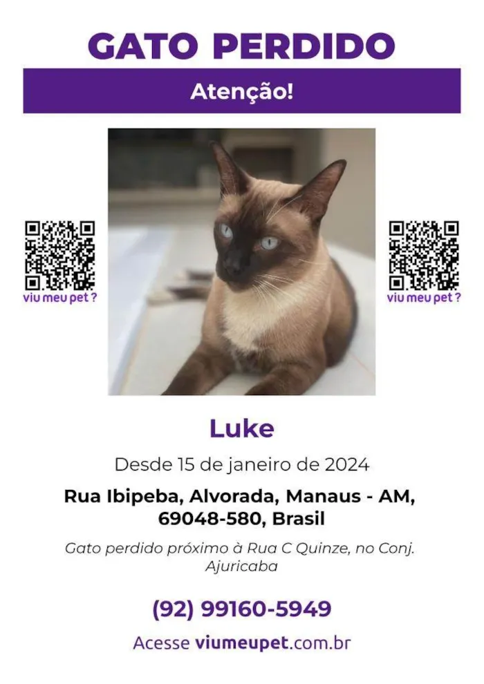 Gato ra a  idade 5 anos nome Luke