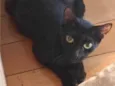 Zoe