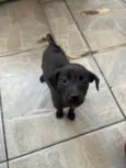 Boo