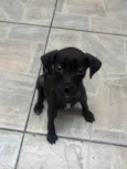 Boo
