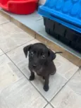 Boo