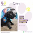 Clark