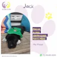 Jack