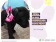 Minnie