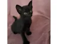 Zaion