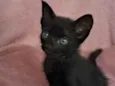 Zaion