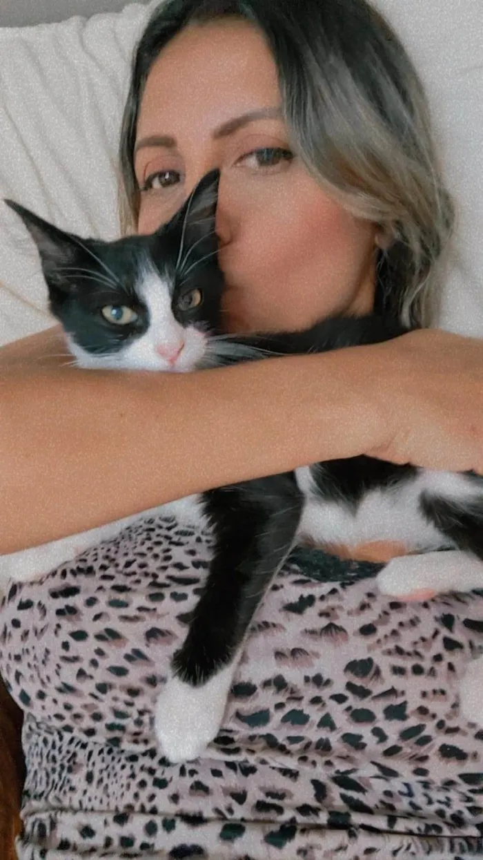 Gato ra a Srd idade 2 a 6 meses nome Docinho