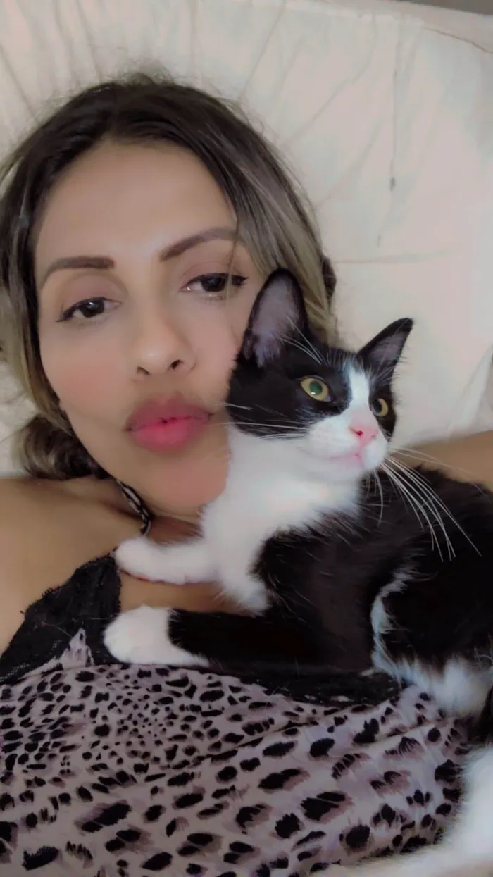 Gato ra a Srd idade 2 a 6 meses nome Docinho