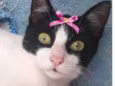 Minnie 