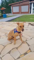 BILLY