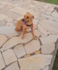 BILLY
