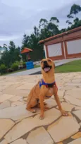 BILLY