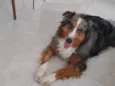 Nala