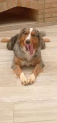 Nala