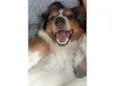 Nala