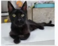 BARTOLOMEU