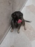 Nina