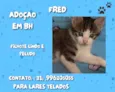 Fred