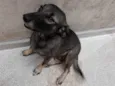 Nina