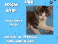 Fred