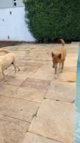 Tempestade e Alasca