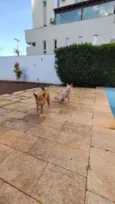 Tempestade e Alasca
