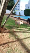 Tempestade e Alasca