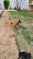 Tempestade e Alasca