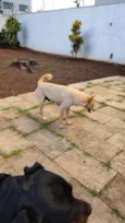 Tempestade e Alasca