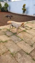 Tempestade e Alasca