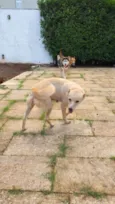 Tempestade e Alasca