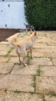 Tempestade e Alasca