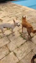 Tempestade e Alasca