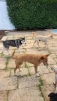 Tempestade e Alasca