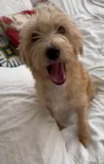 Zoe
