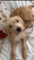 Zoe