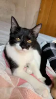 Mel