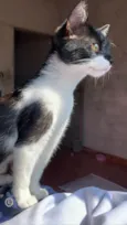 Mel