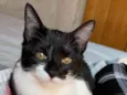 Mel