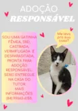 Gatinha SRD Castrada para Adoção Responsável