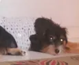 Ludimila