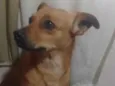 Baby
