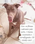 Princesa